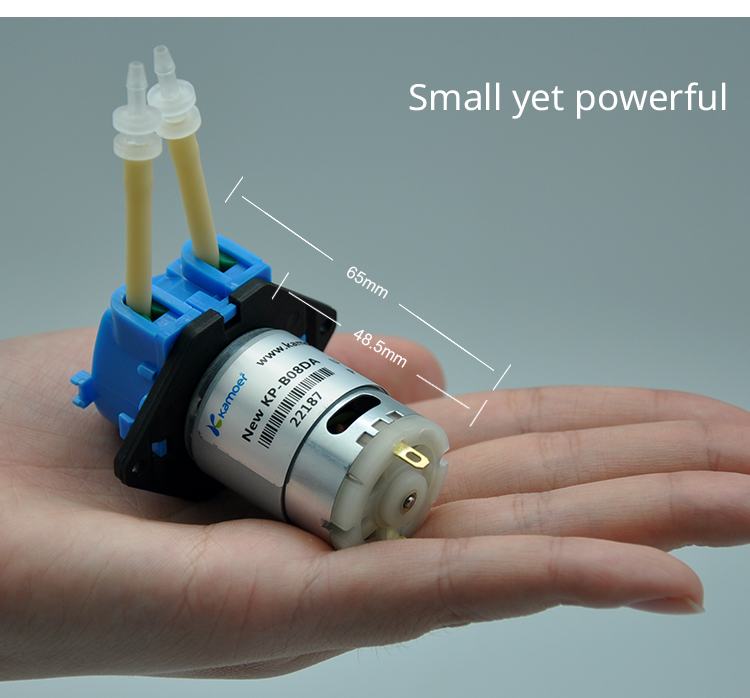 2026 new NKP 6V 12V 24V DC mot - đánh giá và giá Dc Motor 12V