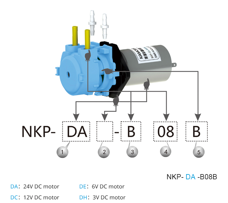 2026 new NKP 6V 12V 24V DC mot - đánh giá và giá Dc Motor 12V