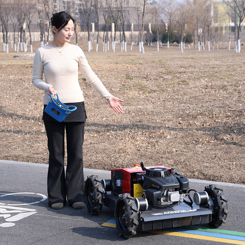 customized Remote Control Robo - đánh giá và giá Robot Wheel